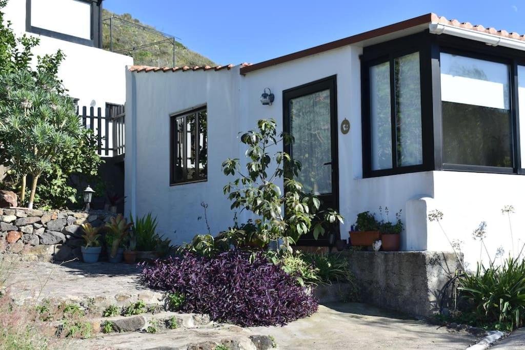 Casita De La Montana De Maria Villa Tegueste Екстериор снимка